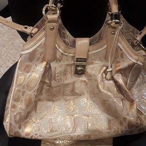 Beautiful gold  brahmins bag.